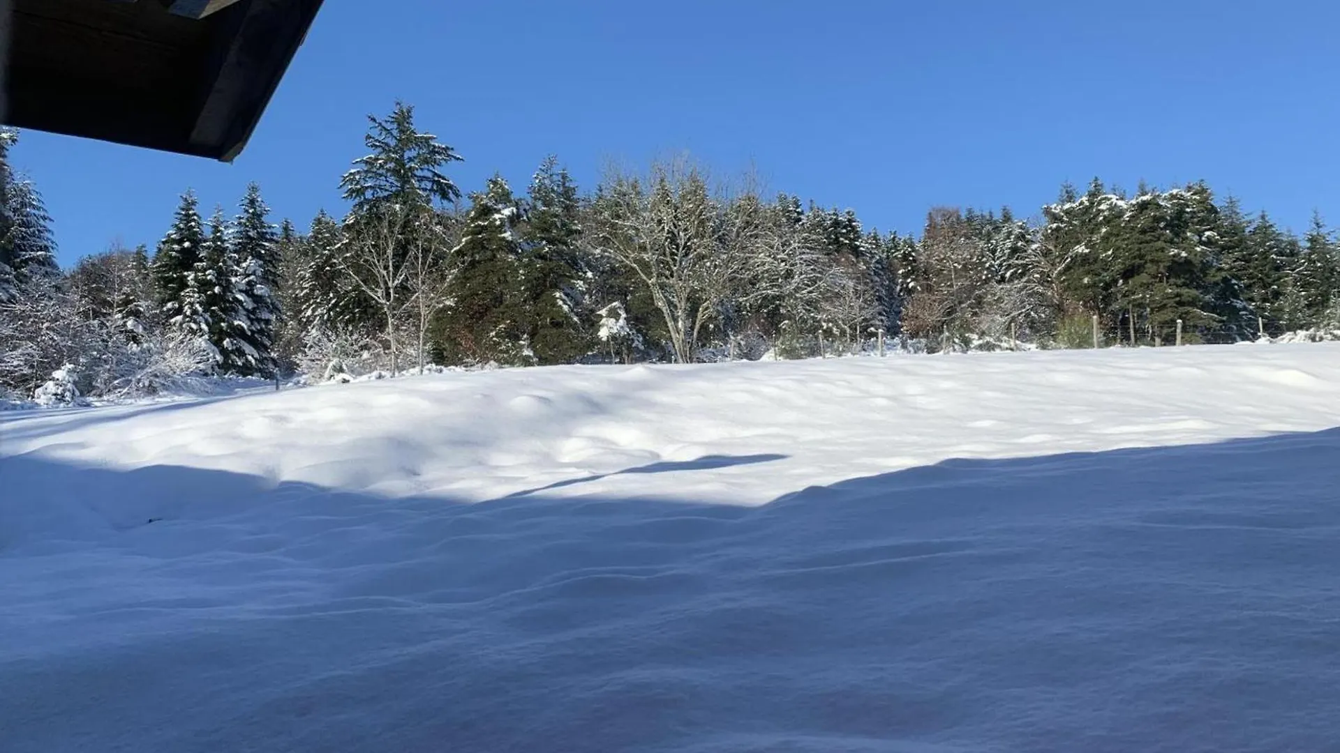 Holiday home Gite 4 Pers, Terrasse & Jardin, Pres Des Bois Noirs - Fr-1-496-348 Saint-Priest-la-Prugne